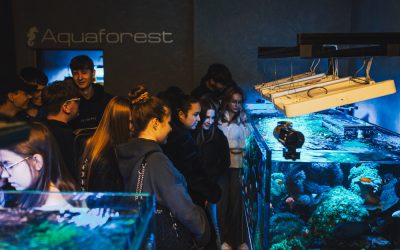 Wizyta w Aquaforest